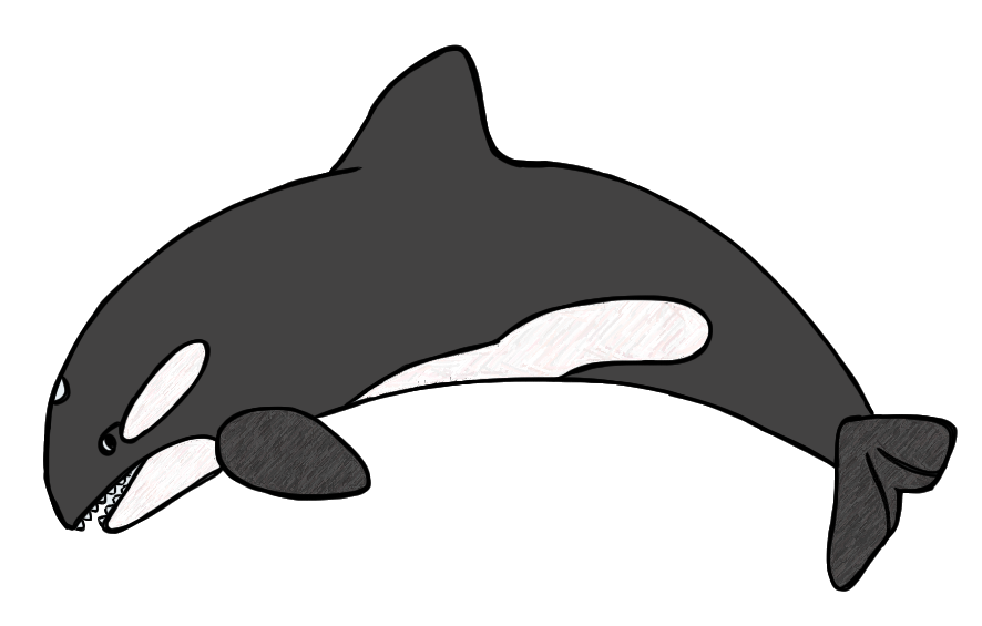 Baby whale clipart.