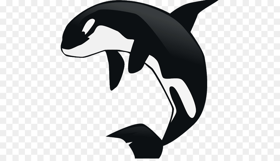 killer whale clipart baby