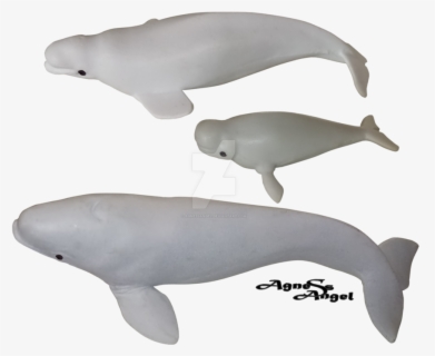 Free Beluga Whale Clip Art with No Background