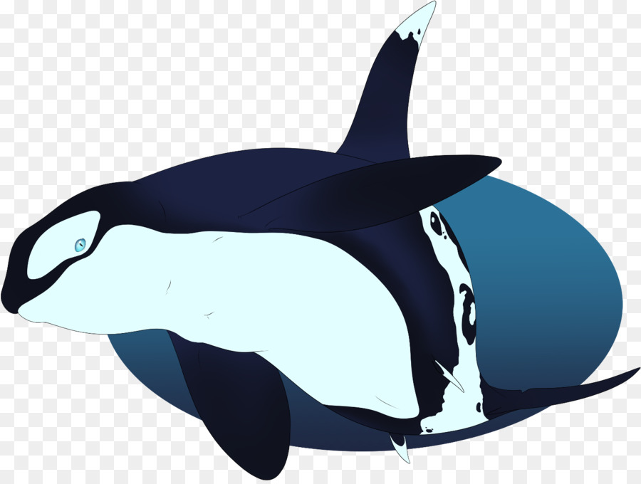 killer whale clipart blue