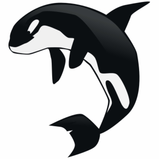 Whale Black And White Blue Whale Clipart Black And