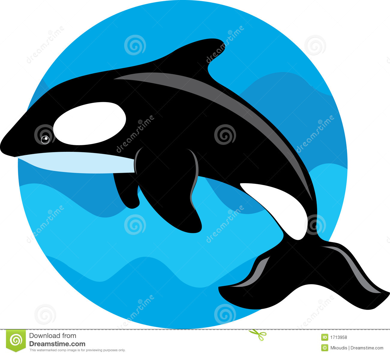 Orca whale blue.
