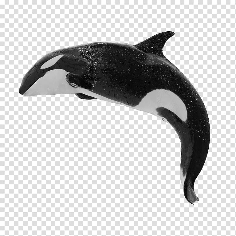 Whales transparent background.