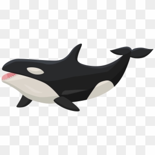 Orca PNG Images, Free Transparent Image Download
