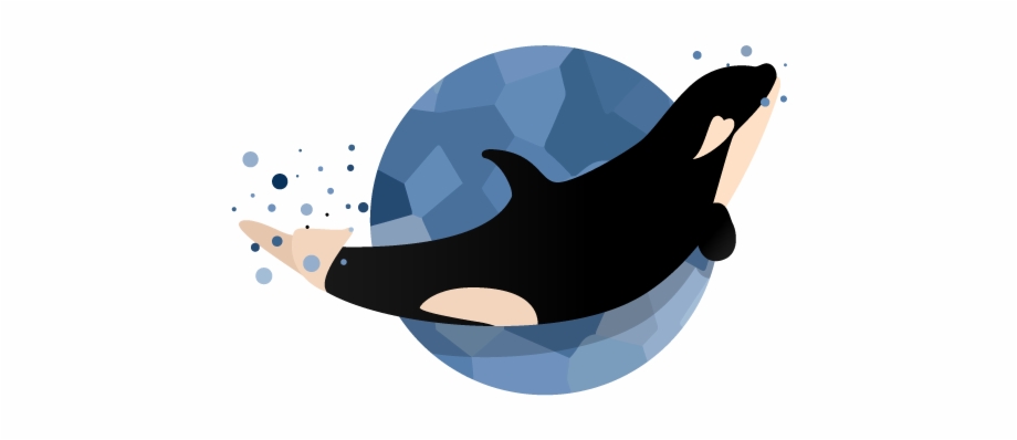 Happy Baby Orca Illustration Vector Whale Orca Baby