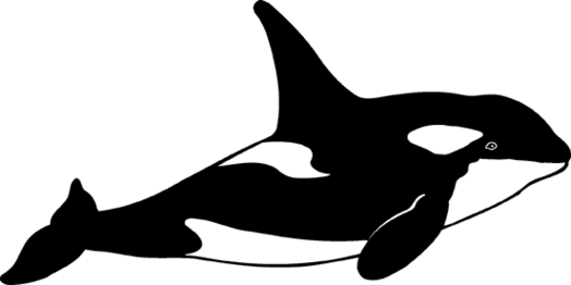 Whale outline clipart.