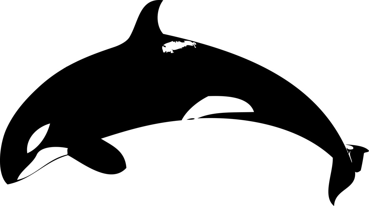 Free whale outline.