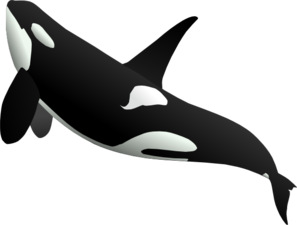 Whales clipart free.