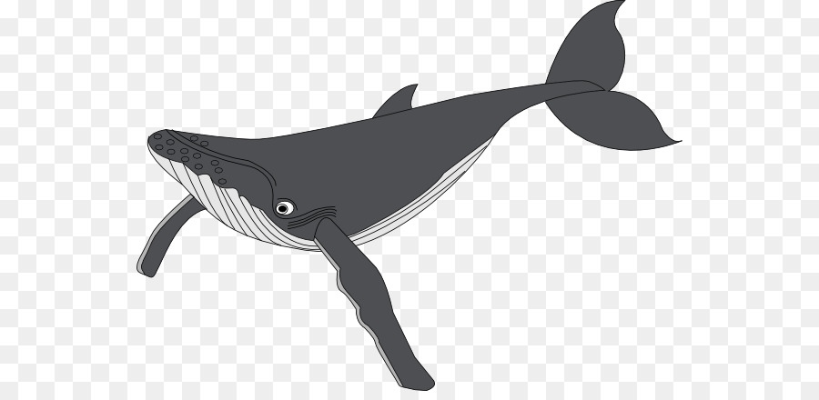 Whale cartoon.
