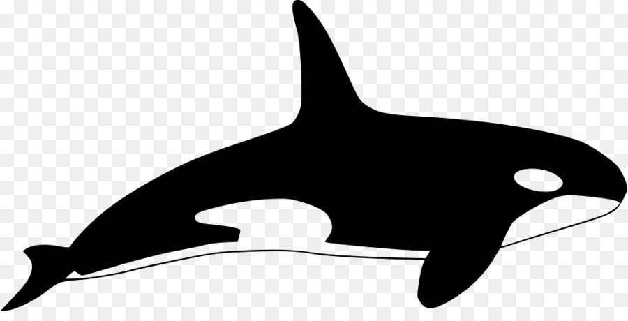 killer whale clipart silhouette