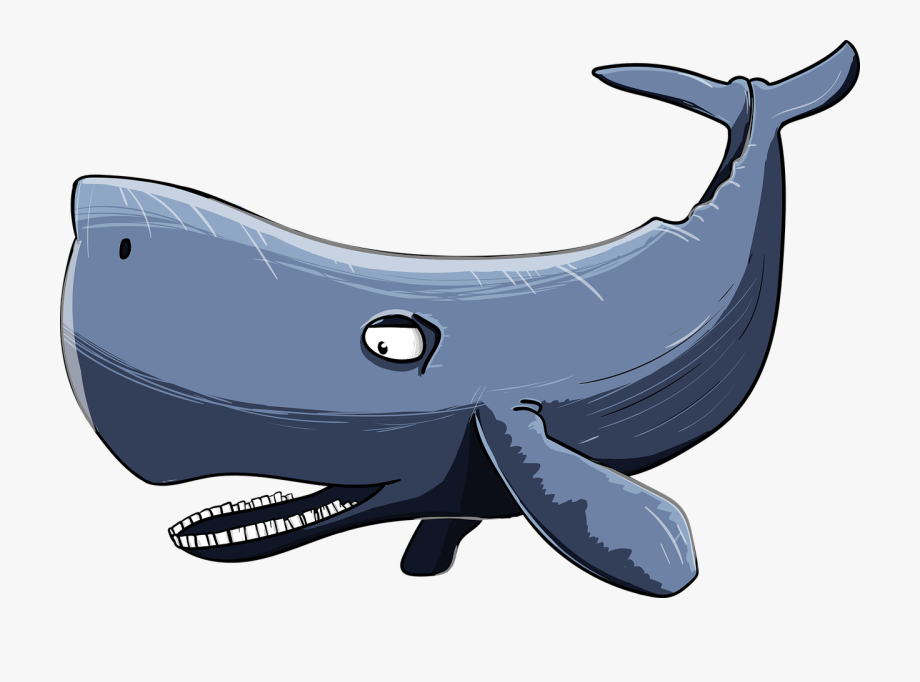 Sperm Whale Clipart Watercolor