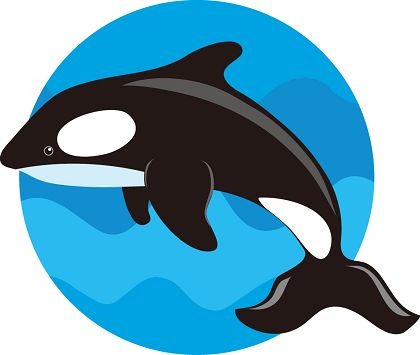 Free Whale Clip Art, Download Free Clip Art, Free Clip Art
