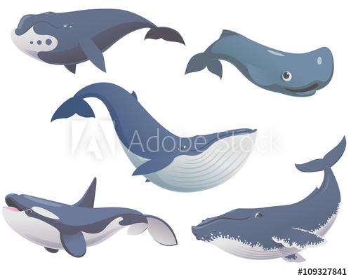 Big set of cartoon cute and funny whales, sea animals set