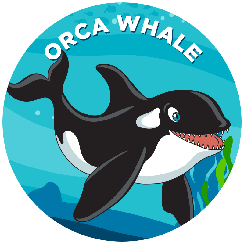 Orca whale propel.