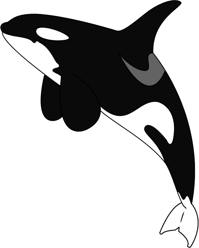 Transparent Background Png Whale , Transparent Cartoon