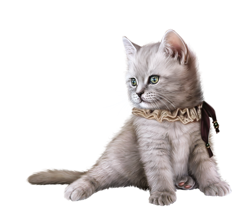 Kittens clipart realistic.