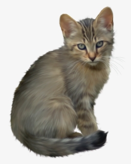Free Kittens Clip Art with No Background