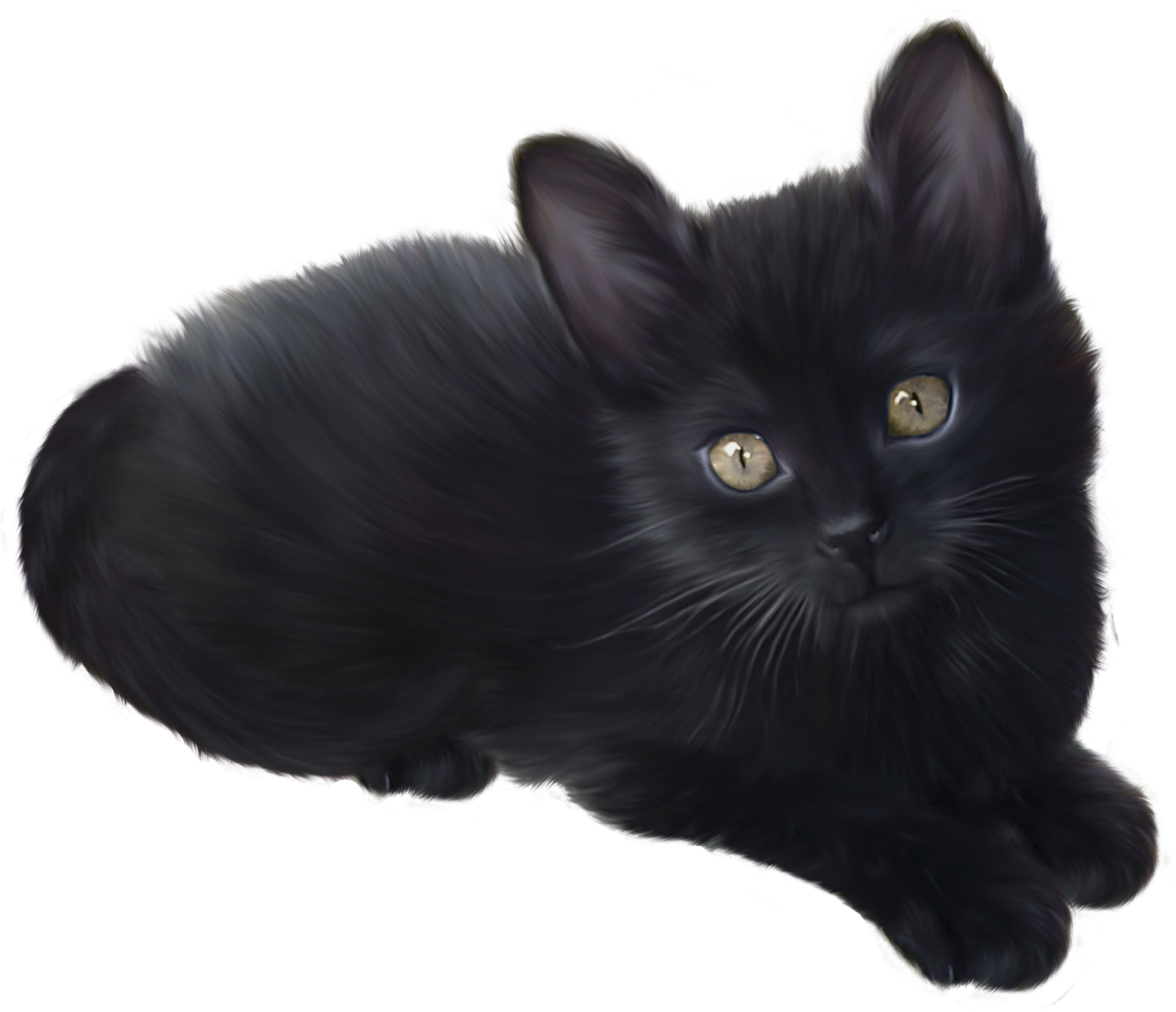 Black kitten png.
