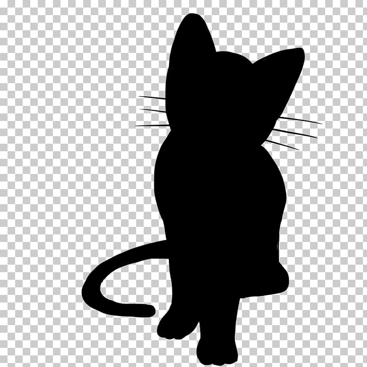 Black cat kitten.