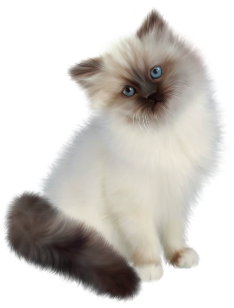 Kitten Transparent PNG Clipart