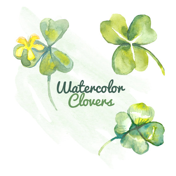Watercolor clovers shamrocks.
