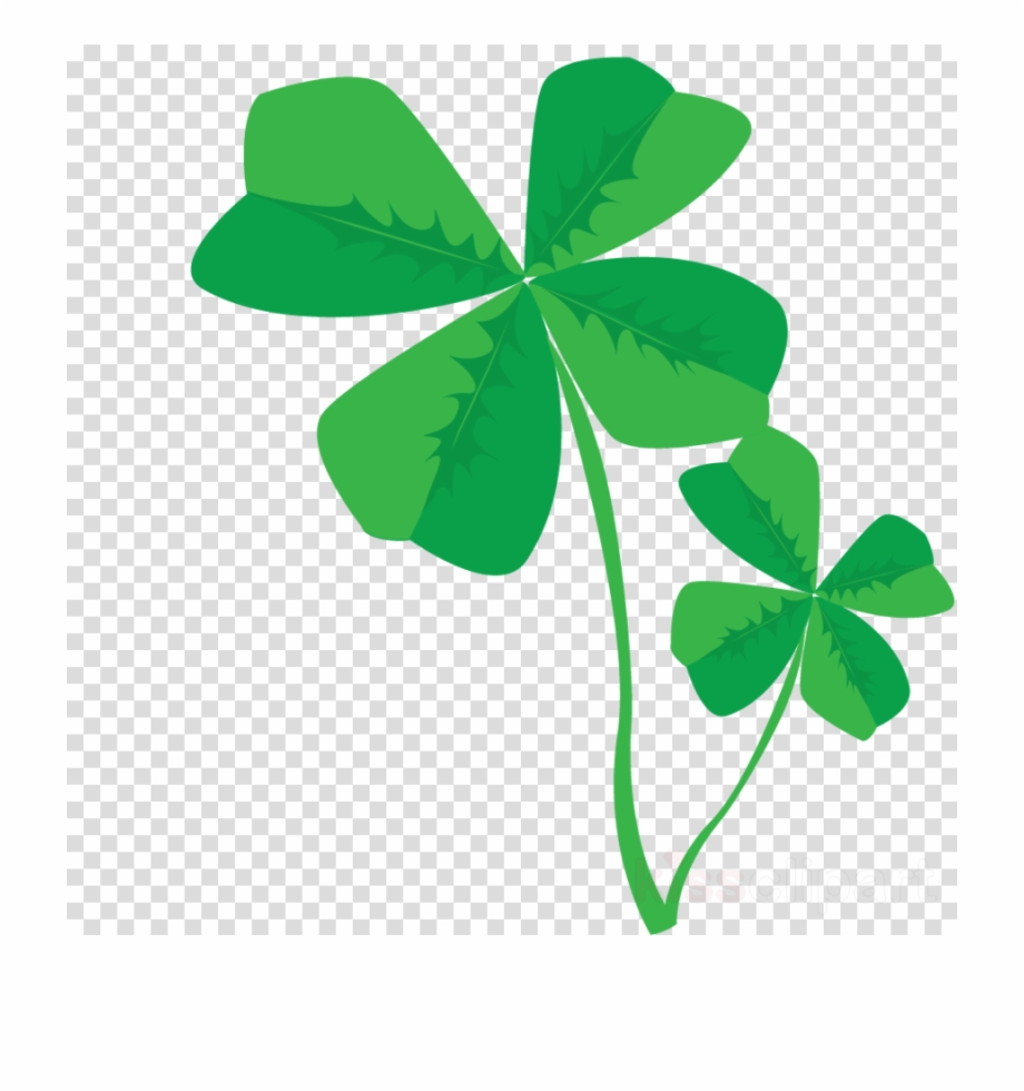 Clovers png clipart.