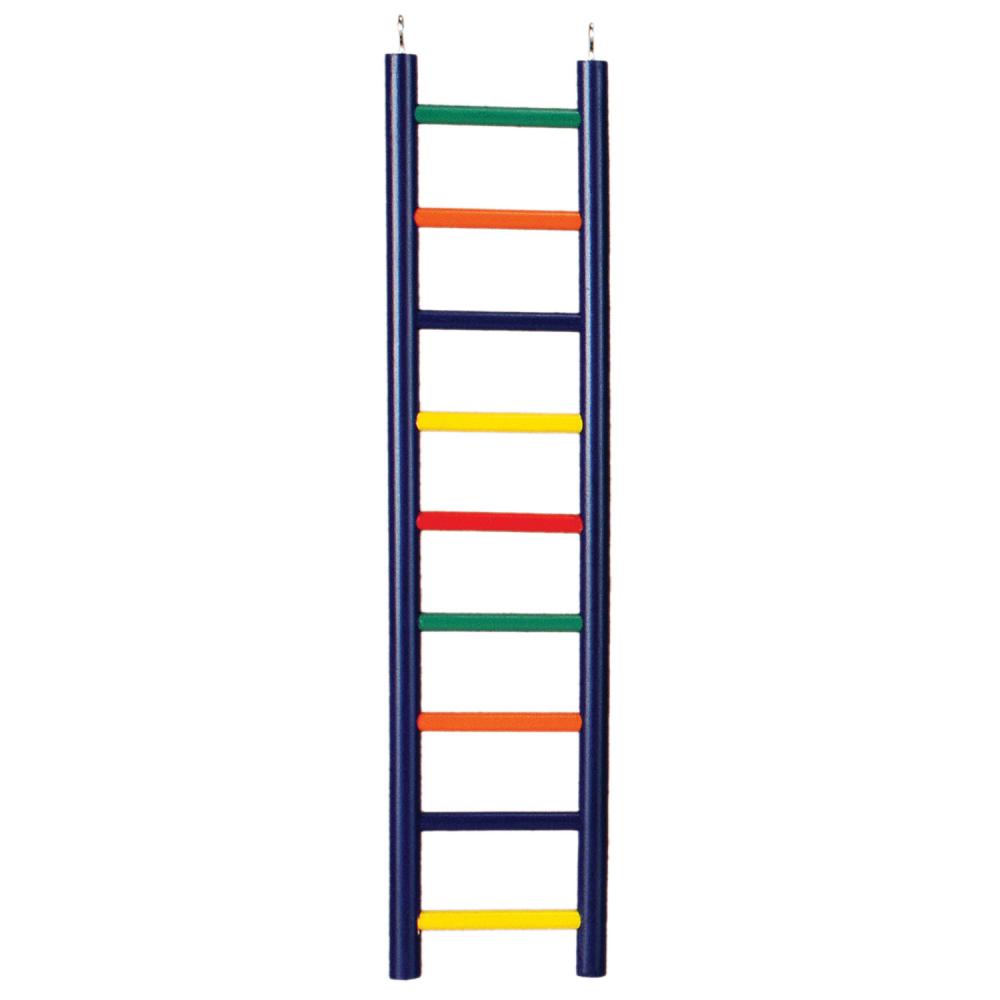 ladder clipart colorful