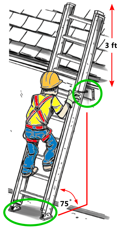 Ladder Cartoon clipart