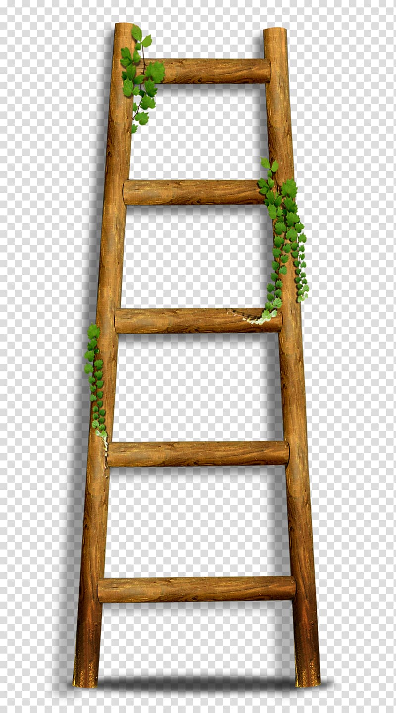 Brown ladder stairs.