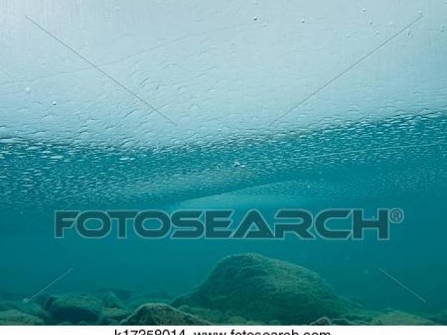 Underwater Clipart underwater lake