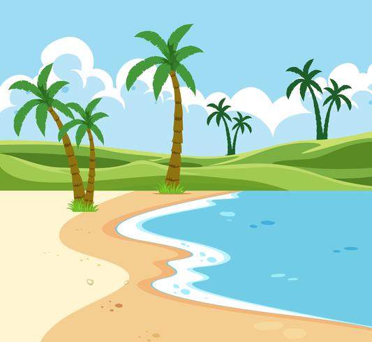 A tropic beach landscape