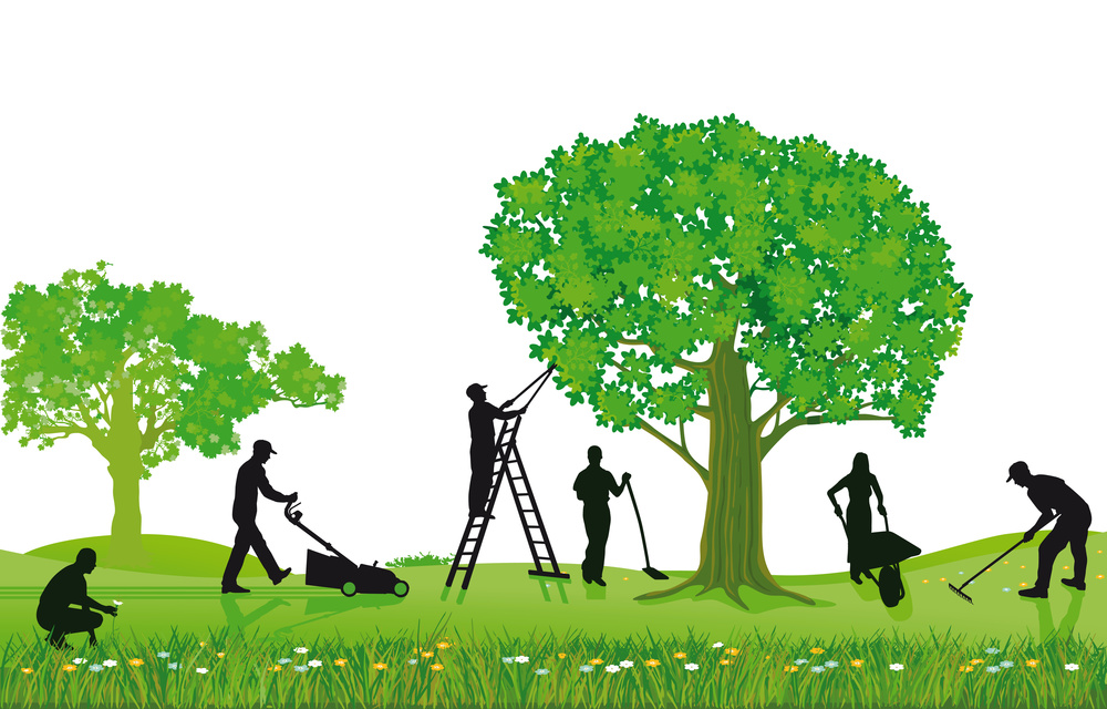 Landscaping clipart free.