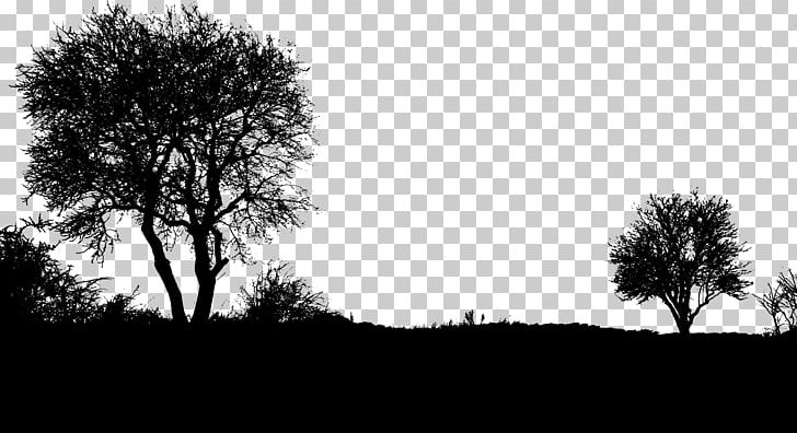 Silhouette Landscape PNG, Clipart, Animals, Black And White