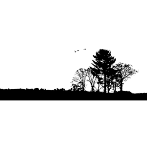 Trees landscape silhouette.