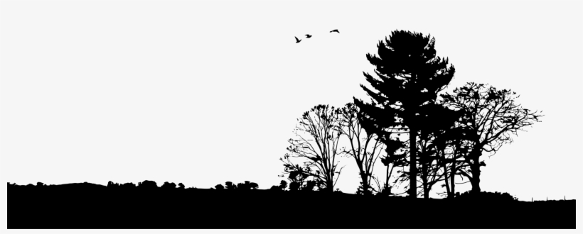 Kisscc Silhouette Landscape Nature Story Drawing Tree