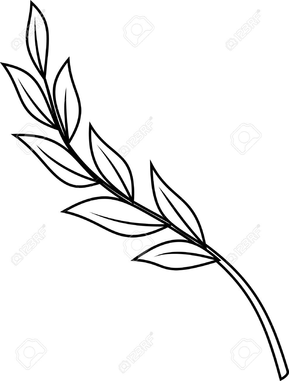 Laurel Branch Stock Vector Illustration And Royalty Free