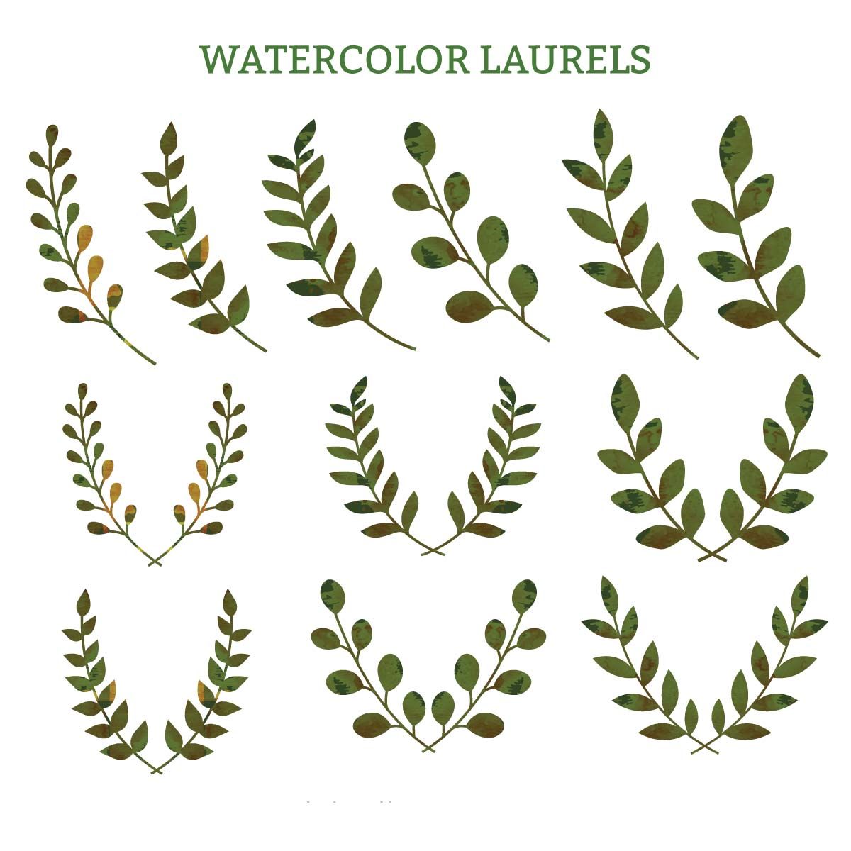Watercolor laurels green decorative vector