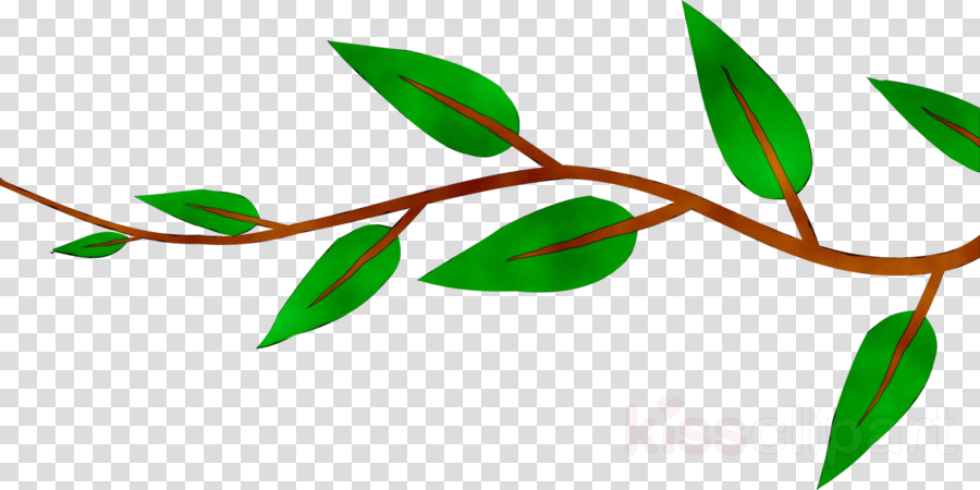 Leaf branch clipart.