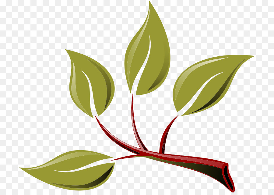 Tree branch clipart.