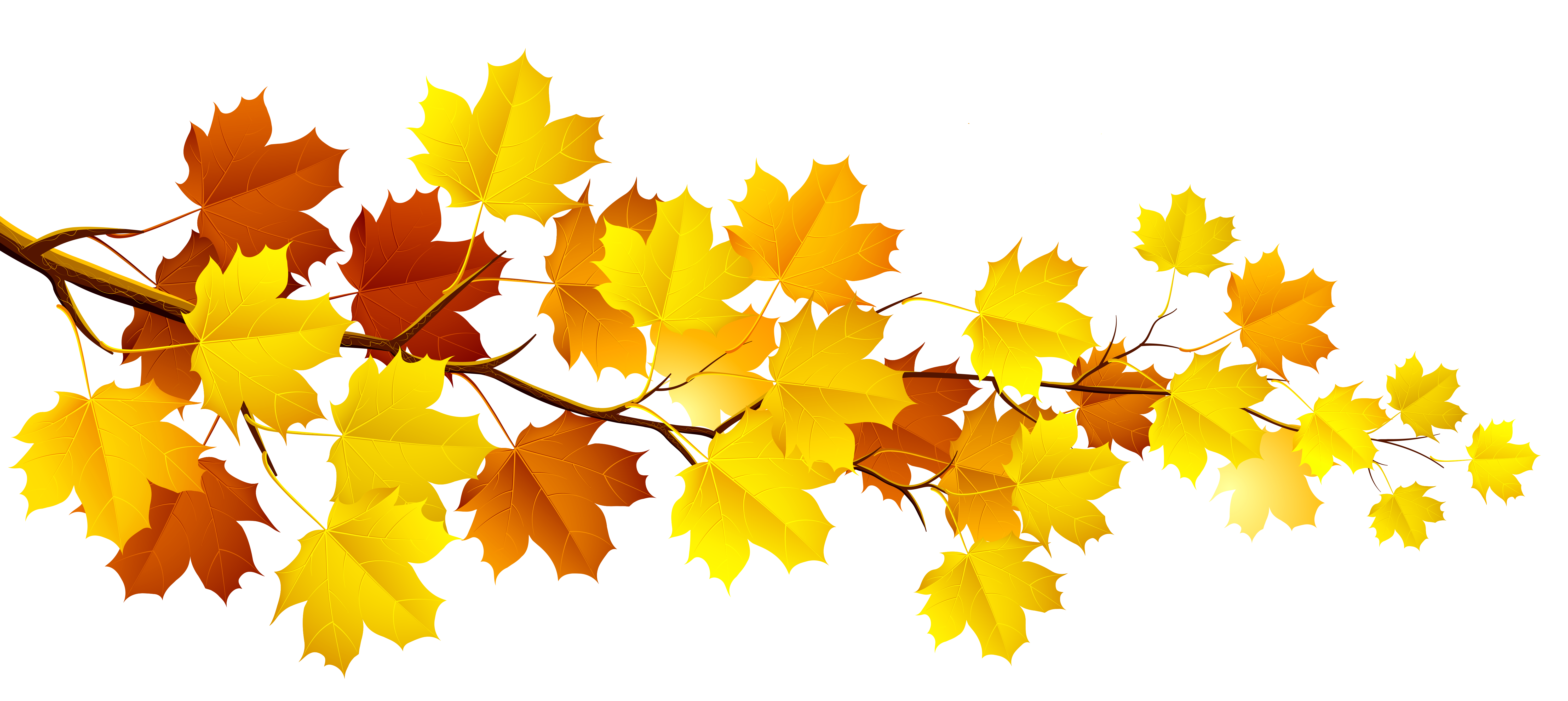Fall leaves clipart free clipart images