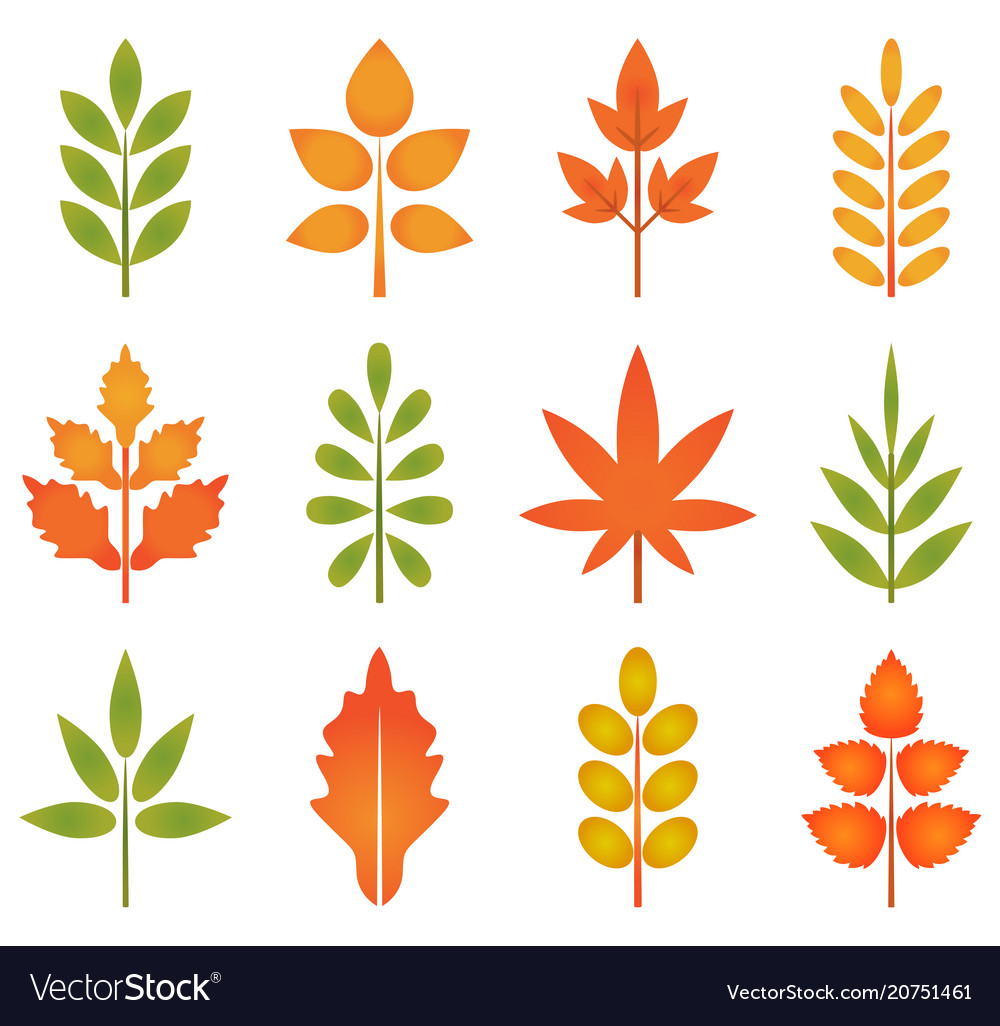leaves clipart free cute