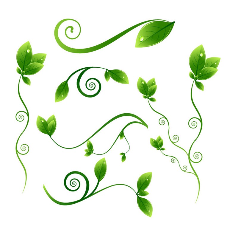Download vector leaf border clipart Leaf Flower Clip art
