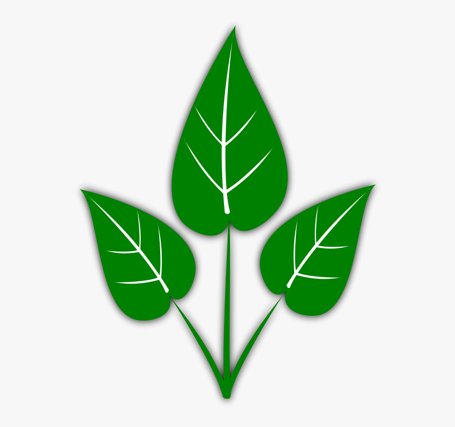 Leaf Free Leaves Clipart Free Clipart Graphics Images