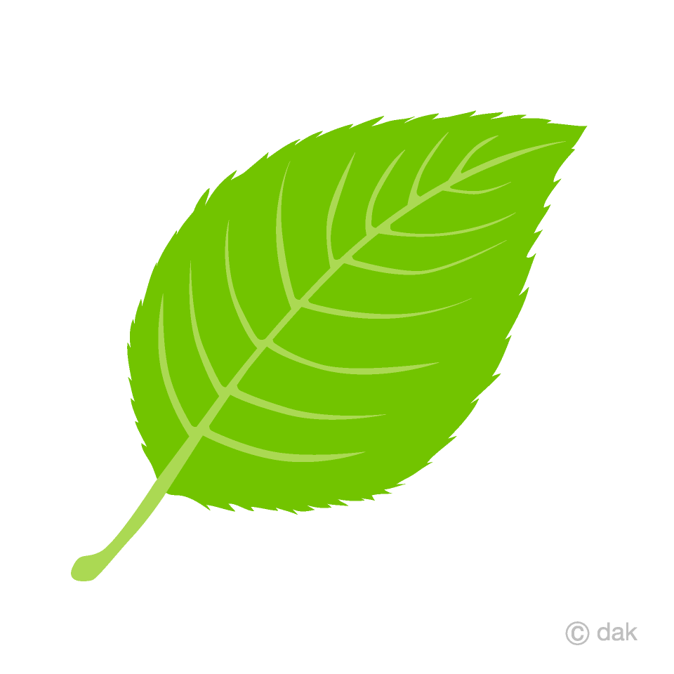 leaves clipart free green