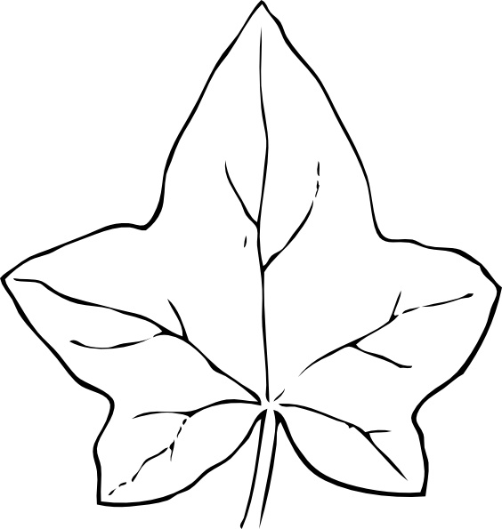 Ivy Leaf clip art Free vector in Open office drawing svg