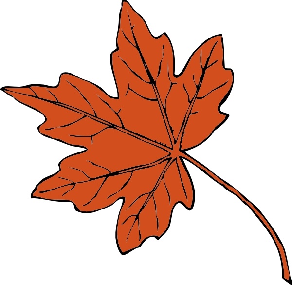 leaves clipart free maple