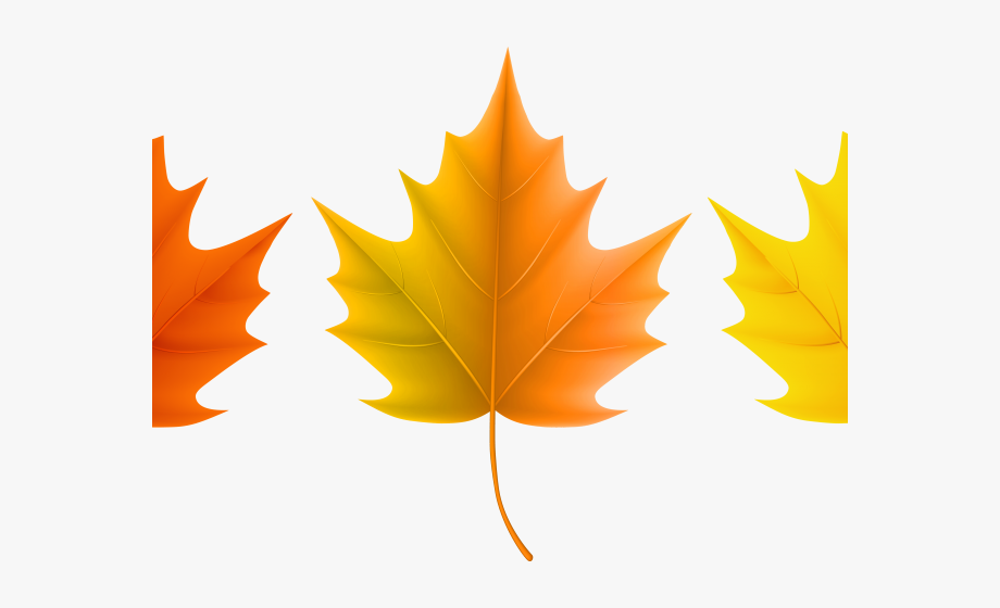 Autumn Leaves Clipart October Leaves