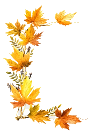 Fall Border Foliage Clipart October Leaves Transparent Side