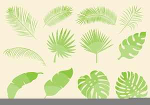 Free Palm Leaves Clipart