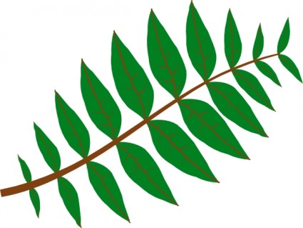 Free Palm Leaves Clipart, Download Free Clip Art, Free Clip